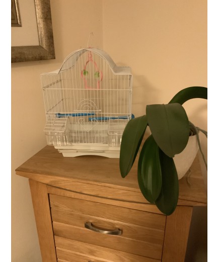 Parrot-Supplies Daytona Shaped Top Small Bird Cage - White
